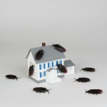 get rid of pests